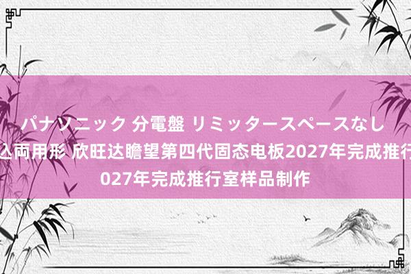 パナソニック 分電盤 リミッタースペースなし 露出・半埋込両用形 欣旺达瞻望第四代固态电板2027年完成推行室样品制作