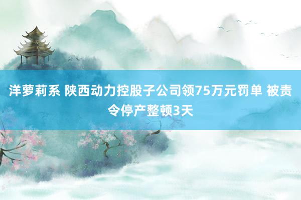 洋萝莉系 陕西动力控股子公司领75万元罚单 被责令停产整顿3天