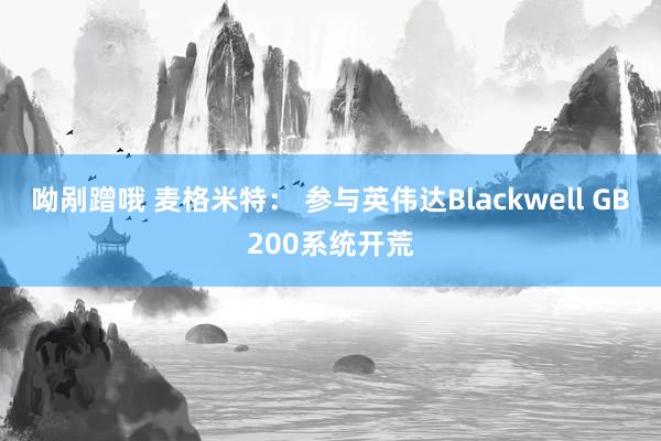 呦剐蹭哦 麦格米特： 参与英伟达Blackwell GB200系统开荒