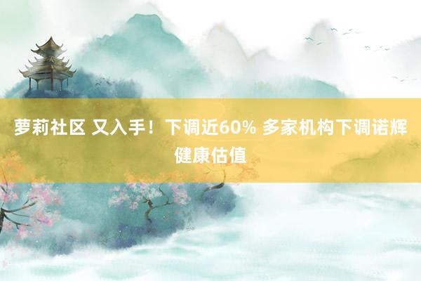 萝莉社区 又入手！下调近60% 多家机构下调诺辉健康估值