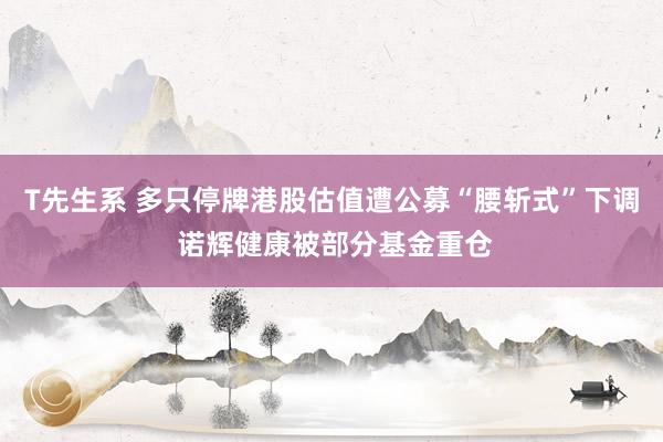 T先生系 多只停牌港股估值遭公募“腰斩式”下调 诺辉健康被部分基金重仓