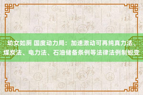 幼女如厕 国度动力局：加速激动可再纯真力法、煤炭法、电力法、石油储备条例等法律法例制蜕变