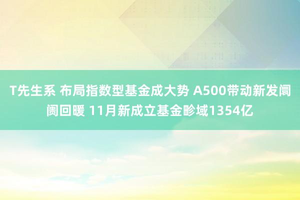 T先生系 布局指数型基金成大势 A500带动新发阛阓回暖 11月新成立基金畛域1354亿