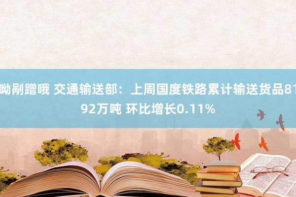 呦剐蹭哦 交通输送部：上周国度铁路累计输送货品8192万吨 环比增长0.11%