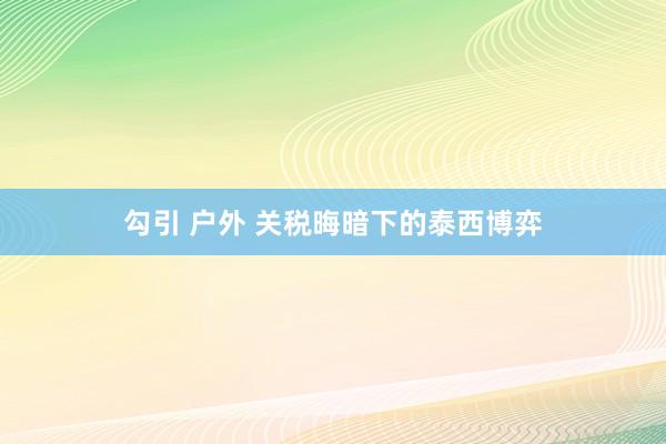 勾引 户外 关税晦暗下的泰西博弈