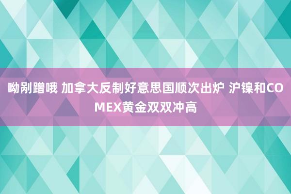 呦剐蹭哦 加拿大反制好意思国顺次出炉 沪镍和COMEX黄金双双冲高