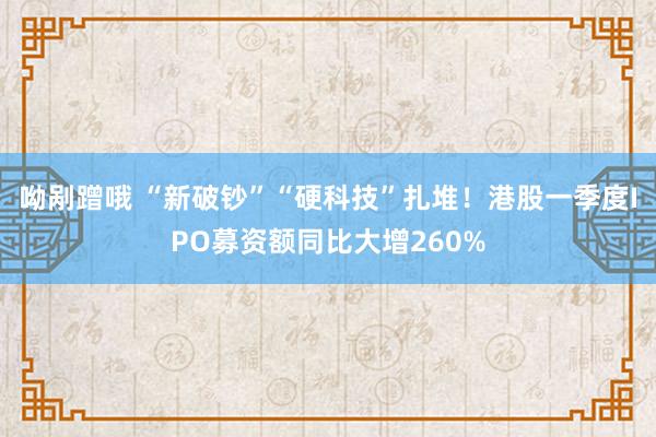 呦剐蹭哦 “新破钞”“硬科技”扎堆！港股一季度IPO募资额同比大增260%